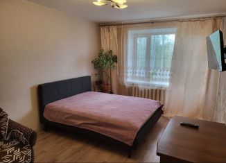 Сдается 1-комнатная квартира, 34.5 м2, Сортавала, улица Дружбы Народов, 5