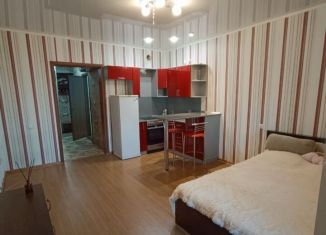 Сдам квартиру студию, 30 м2, Новосибирск, улица Кузьмы Минина, 9/3