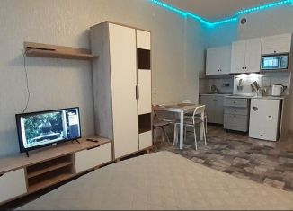 Сдается квартира студия, 34 м2, Пермь, улица Революции, 54, ЖК Гулливер