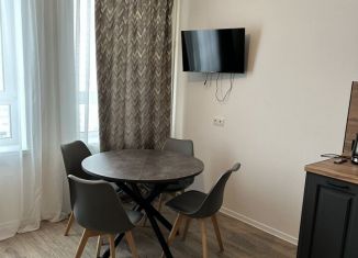 Сдаю в аренду квартиру студию, 22.7 м2, деревня Путилково, Вольная улица, 3