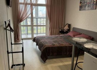 Сдаю в аренду квартиру студию, 25 м2, Пермь, шоссе Космонавтов, 309А