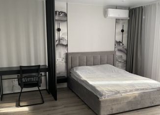 Сдам 1-ком. квартиру, 60 м2, Омск, улица Маршала Жукова, 156