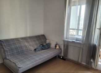 Сдается квартира студия, 30 м2, Кудрово, Столичная улица, 5к2