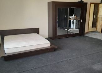 Сдается квартира студия, 42 м2, Екатеринбург, улица Викулова, 152