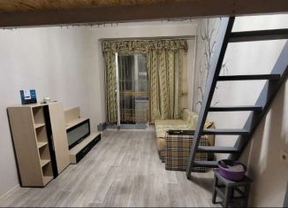 Сдам 1-ком. квартиру, 35 м2, Новосибирск, улица Палласа, 33