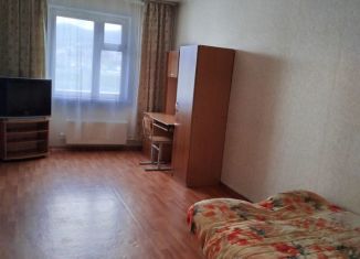 Сдается в аренду 1-комнатная квартира, 40 м2, Красноярск, улица Алёши Тимошенкова, 117