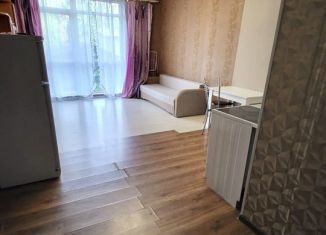 Продаю 1-ком. квартиру, 29 м2, Петрозаводск, Сулажгорская улица, 29А