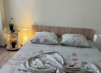 Сдается в аренду квартира студия, 30 м2, Алтайский край, улица Декабристов, 22