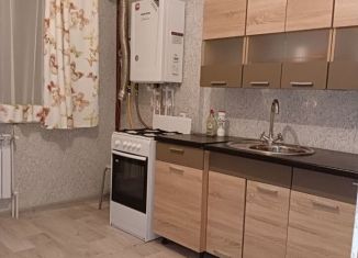 Сдача в аренду 2-комнатной квартиры, 52 м2, деревня Крутые Выселки, улица Герасимова, 2литЗ