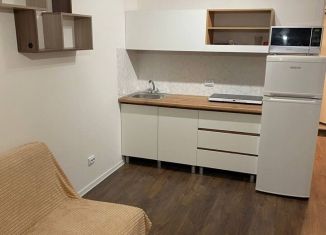 Аренда квартиры студии, 21 м2, Санкт-Петербург, Пейзажная улица, 30