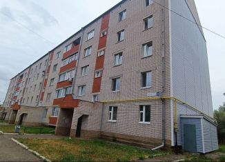 Продается 3-комнатная квартира, 73.8 м2, село Сигаево, Советская улица, 102