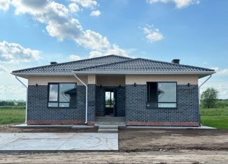 Дом на продажу, 150 м2, деревня Чернышевка, улица Изобилия