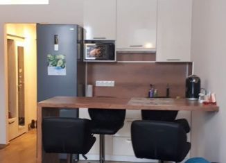 Аренда квартиры студии, 25 м2, Санкт-Петербург, улица Шкапина, 22