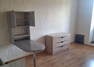 Сдам в аренду квартиру студию, 23 м2, Колпино, улица Севастьянова, 28к1