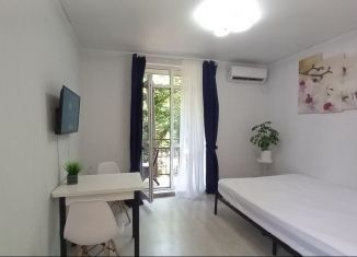 Аренда квартиры студии, 26 м2, Сочи, СНТ Зеленая Дубрава, 1, микрорайон Старая Мацеста