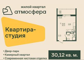 Продается квартира студия, 30.1 м2, посёлок Западный, улица Дружбы, с3