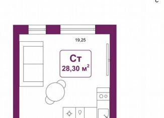 Продам квартиру студию, 28.3 м2, деревня Дударева, улица Сергея Джанбровского, 25