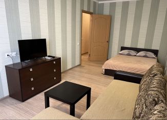 Сдам 1-ком. квартиру, 38 м2, Ставрополь, переулок Крупской, 29к2, микрорайон № 9