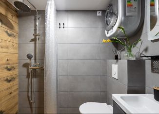 Сдаю в аренду квартиру студию, 15 м2, Санкт-Петербург, Кузнечный переулок, 14Б