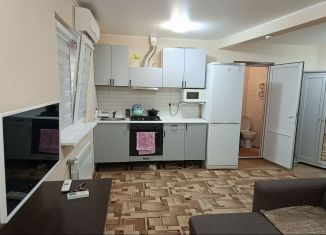 Сдам в аренду квартиру студию, 26 м2, Сочи, Троицкая улица, 15с25, микрорайон Голубые Дали