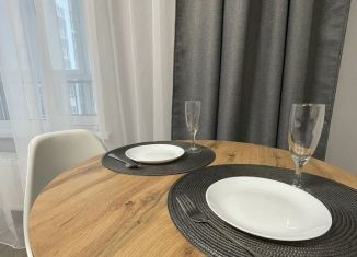 Сдается в аренду квартира студия, 27 м2, Республика Башкортостан, проспект Дружбы Народов, 61