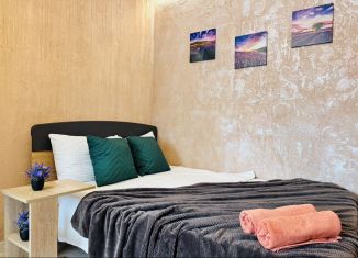 2-ком. квартира в аренду, 50 м2, Воронеж, улица 20-летия Октября, 52