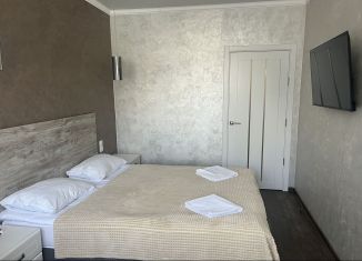 Сдам в аренду 2-комнатную квартиру, 68 м2, Сочи, Курортный проспект, 84, микрорайон Яна Фабрициуса