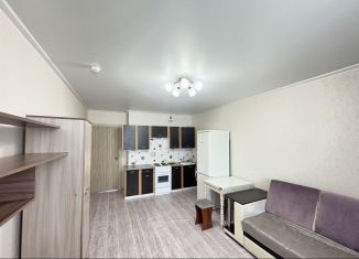 Сдаю в аренду двухкомнатную квартиру, 46 м2, Краснодар, Душистая улица, 23, микрорайон Молодёжный