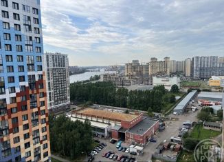 Продается квартира студия, 25 м2, Санкт-Петербург, улица Крыленко, 1к1