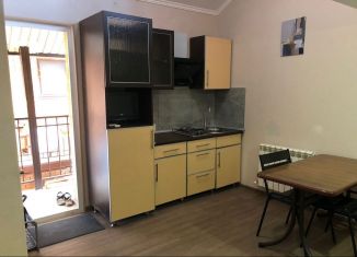 Сдается квартира студия, 30 м2, Геленджик, 3-й переулок Волнухина, 3