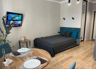 Сдача в аренду квартиры студии, 29 м2, Краснодар, Колхозная улица, 5, микрорайон Табачная Фабрика