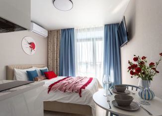 Сдача в аренду квартиры студии, 19 м2, Сочи, Ясногорская улица, 16/2к8, микрорайон Бытха