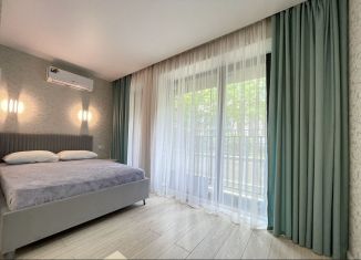 Сдача в аренду квартиры студии, 32 м2, Сочи, микрорайон Приморье, Курортный проспект, 96Гк2