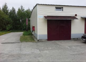 Продажа гаража, 30 м2, Северодвинск, Южная улица, 165