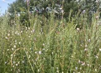 Продаю земельный участок, 10 сот., Татарстан, 16К-0893