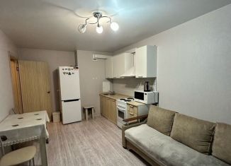 Сдам квартиру студию, 27 м2, Ростов-на-Дону, Художественная улица, 9, ЖК Платовский