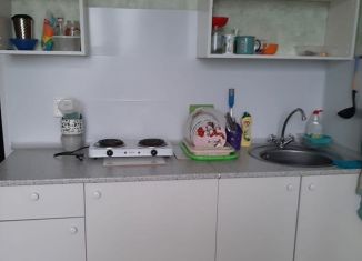 Сдам в аренду 1-ком. квартиру, 35 м2, деревня Новое Девяткино, Арсенальная улица, 6, ЖК Девяткино