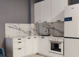 Сдача в аренду 1-комнатной квартиры, 41.3 м2, Санкт-Петербург, Петровский проспект, 9к2