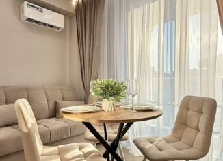 Сдается 1-ком. квартира, 30 м2, Сочи, Полтавская улица, 21А, микрорайон Мамайка