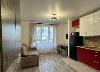 Квартира в аренду студия, 25 м2, Люберцы, улица 8 Марта, 48, ЖК Гоголь Парк