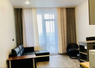 Сдам квартиру студию, 27 м2, деревня Пирогово, улица Ильинского, 8