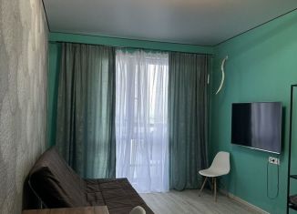 Аренда квартиры студии, 35 м2, Татарстан, улица Достоевского, 57