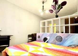 Сдаю двухкомнатную квартиру, 56 м2, Санкт-Петербург, проспект Непокорённых, 13к1