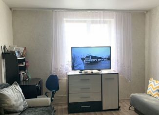 Квартира на продажу студия, 21 м2, деревня Хохряки, улица Петра Чайковского, 2