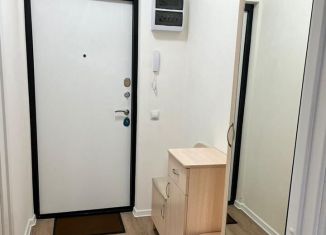 Сдаю квартиру студию, 23 м2, Санкт-Петербург, Гудиловская улица, 5к1