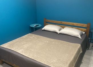 Сдам в аренду дом, 58 м2, Сочи, Центральная улица, 159, микрорайон Головинка