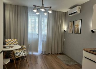 Аренда квартиры студии, 30 м2, Ростов-на-Дону, Горсоветская улица, 49с1