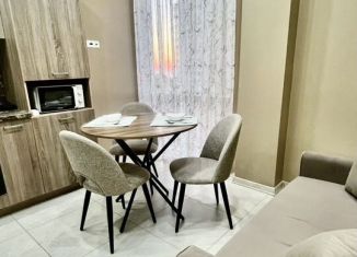 Сдается в аренду 1-ком. квартира, 33 м2, Сочи, улица Бытха, 48/4, микрорайон Бытха