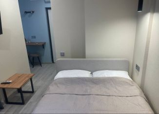 Сдача в аренду квартиры студии, 15 м2, Сочи, Фермерский переулок, 24/1, микрорайон Энергетик-Изумруд