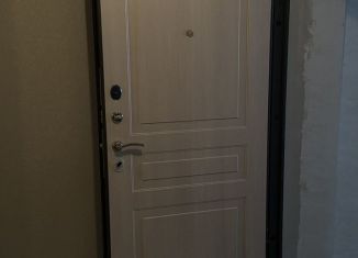 1-комнатная квартира на продажу, 30.2 м2, Ставрополь, Промышленный район, улица Южный Обход, 53В